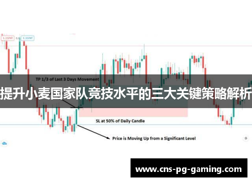 提升小麦国家队竞技水平的三大关键策略解析 提升小麦国家队竞技水平的三大关键策略解析